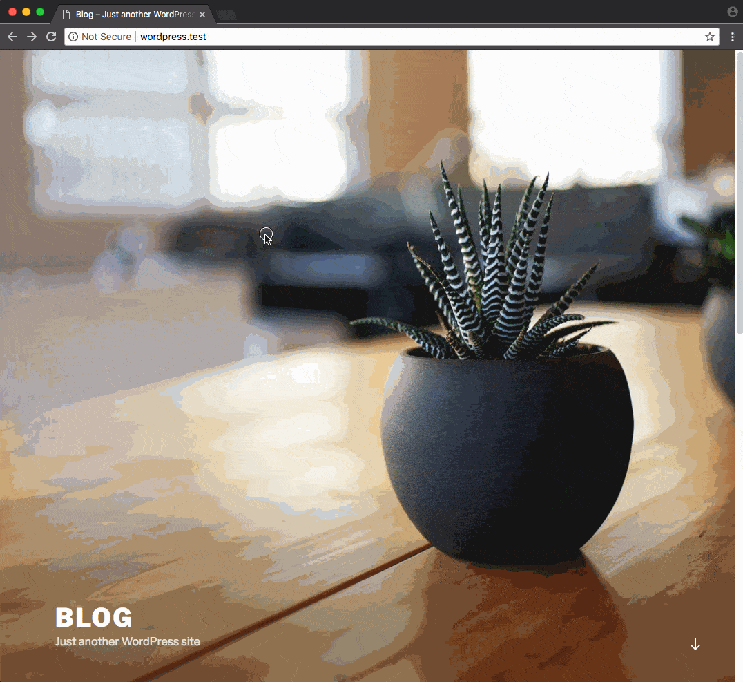wp-cli-fixtures demo 